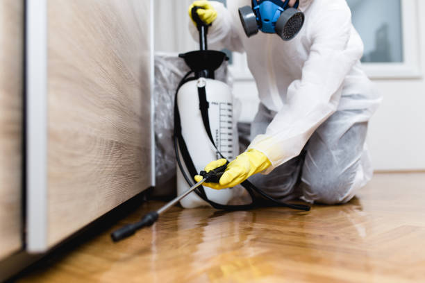 Best Exterminator Services  in Eunice, NM