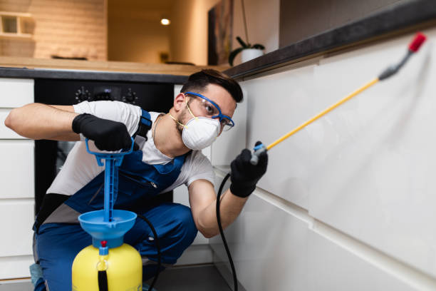 Best Emergency Pest Control  in Eunice, NM