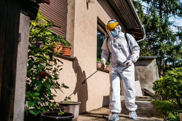Best Pest Inspection Near Me  in Eunice, NM