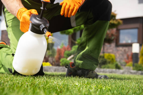 Best Affordable Pest Control Services  in Eunice, NM