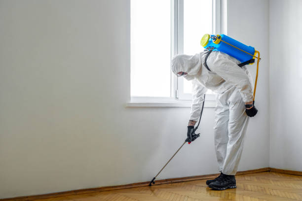 Best Commercial Pest Control Services  in Eunice, NM