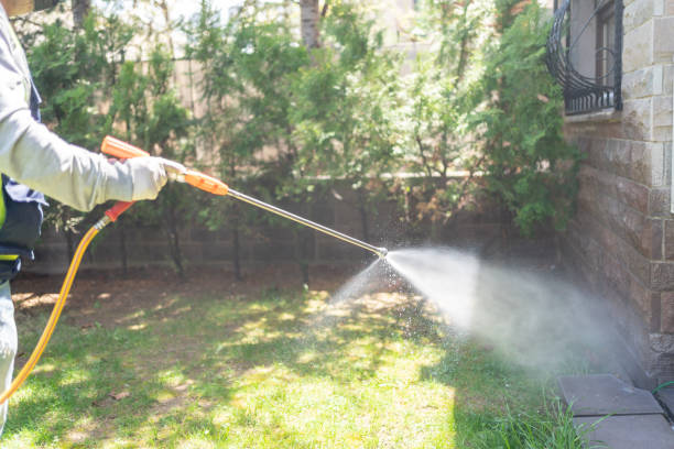 Reliable Eunice, NM Pest Control Solutions